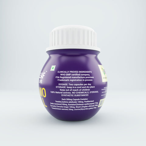 Pulmo Well Ayurvedic Respiratory Support, Herbal Blend with Vasaka, Liposomal Curcumin, & Tulasi, 60 Veg Capsules - 500mg each