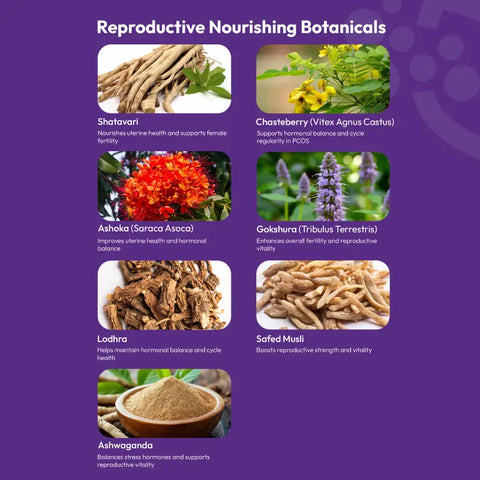 Cradle_Bliss_For_Women_ingredients