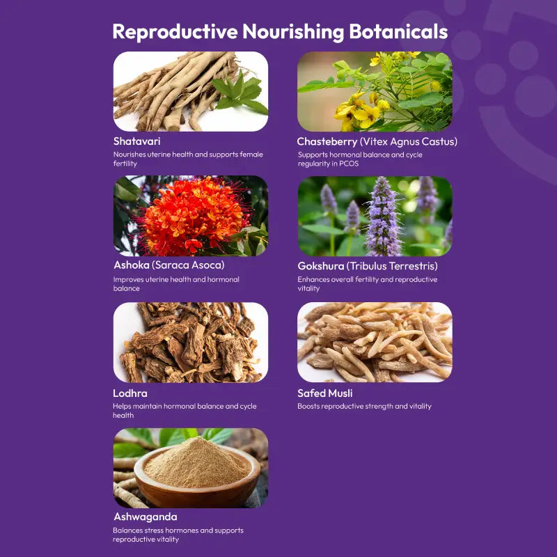 Holistic Motherhood Support Combo, Ayurvedic Capsules to Enhance Fertility, Balance Hormones & Strengthen Joints