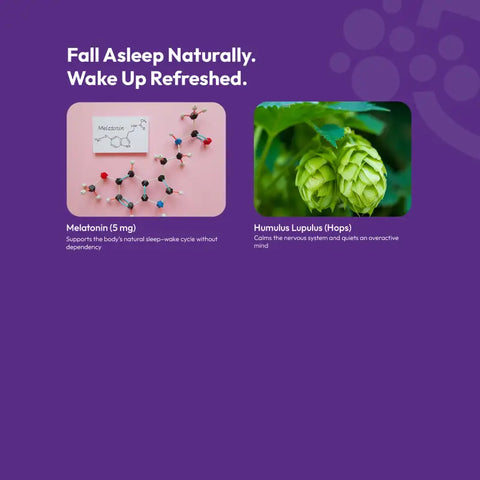 Sleep_Gummy_ingredients