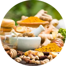 Releaf Wellness - Best Ayurvedic Wellness Products