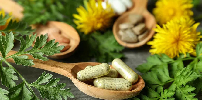 Releaf Wellness - Ayurveda Products